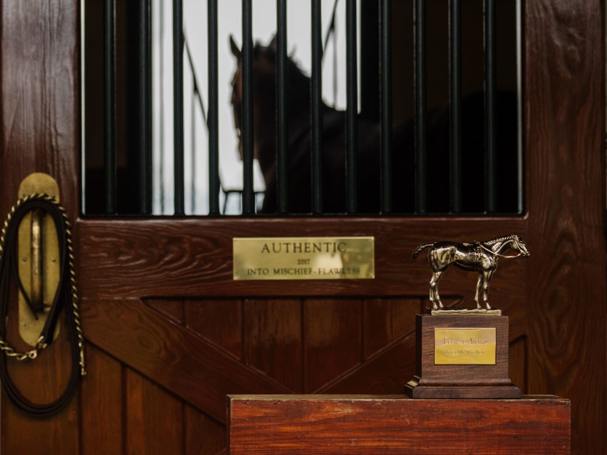 Authentic | 2020 Horse of the Year | Autry Graham photo