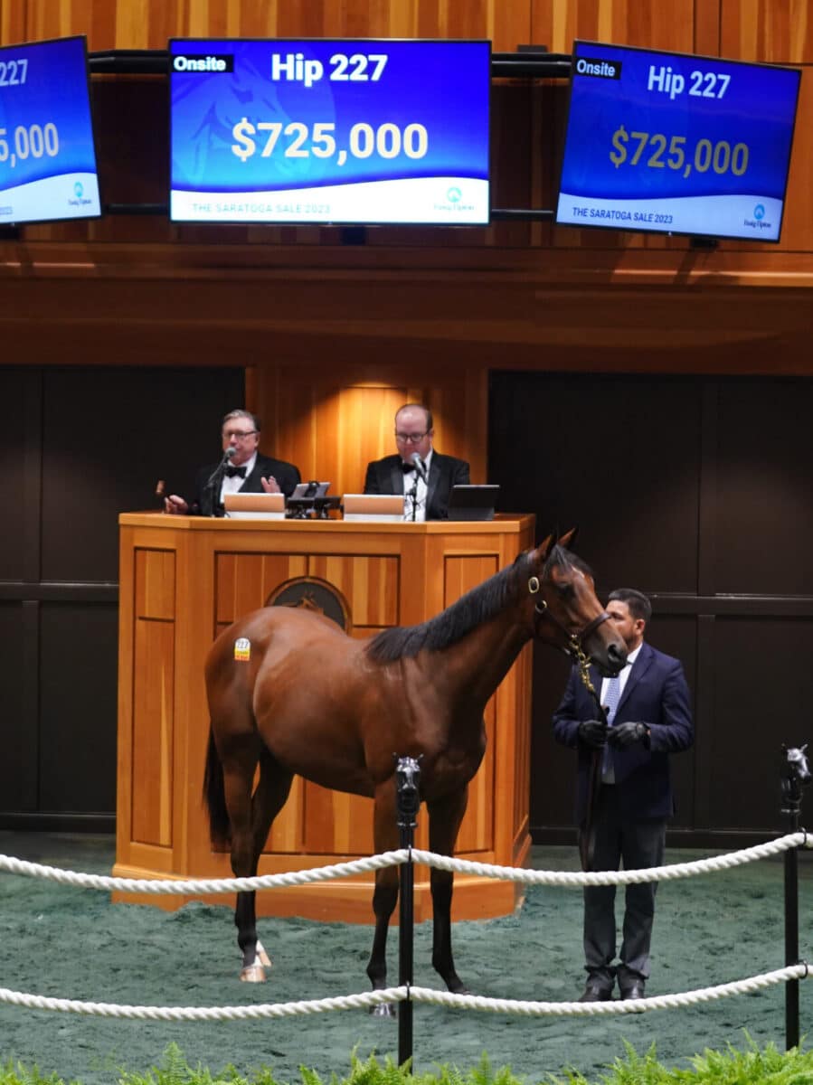 $725,000 at '23 F-T Saratoga | Filly o/o Achalaya | Purchased by Live Oak Plantation | Z photo