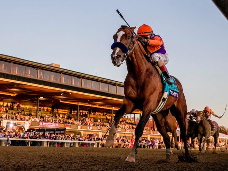 Authentic 2020 Horse of the Year | Breeders' Cup Classic-G1 | Breeders’ Cup/Eclipse Sportswire Photo ©
