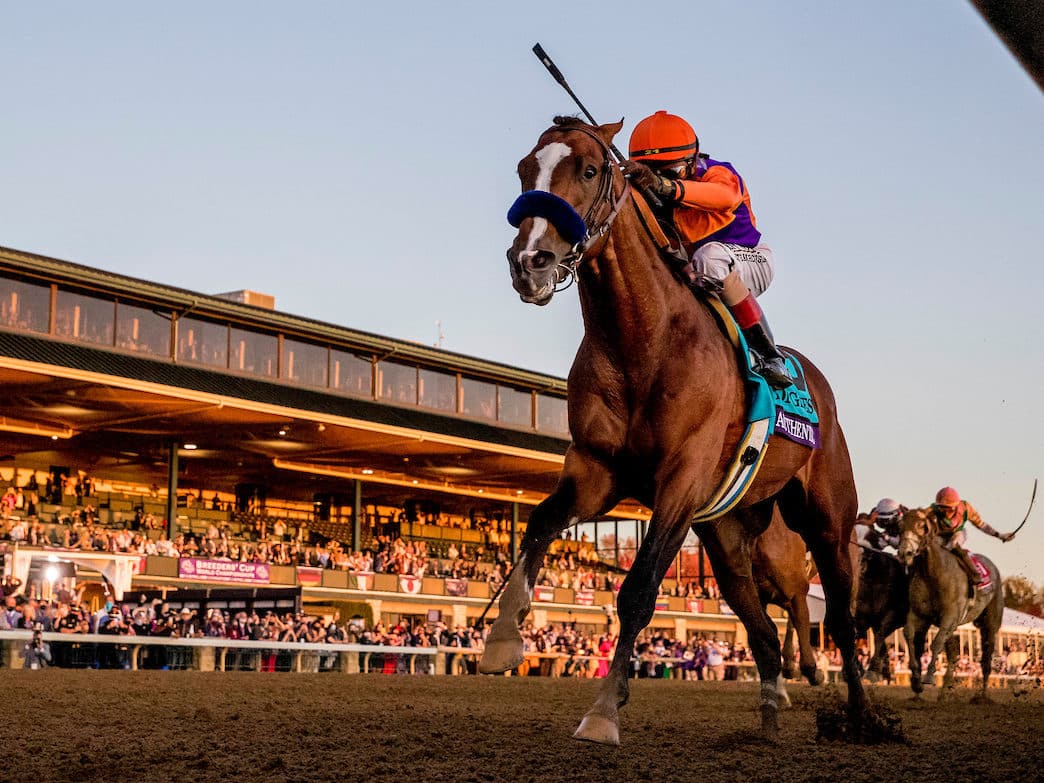 Authentic 2020 Horse of the Year | Breeders' Cup Classic-G1 | Breeders’ Cup/Eclipse Sportswire Photo ©