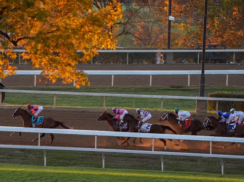 Authentic | 2020 Classic-G1 | Breeders’ Cup/Eclipse Sportswire Photo ©