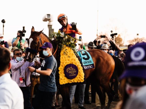 Authentic enters the winner's circle after the Breeders' Cup Classic-G1 | Autry Graham photo