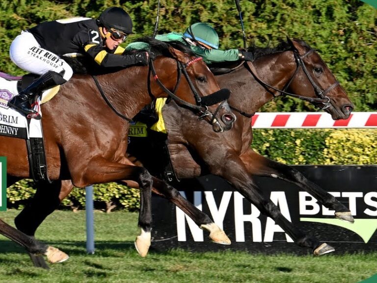 2yo colt Bottas wins the 2025 Pilgrim S. (G2) at Belmont at Aqueduct | NYRA photo