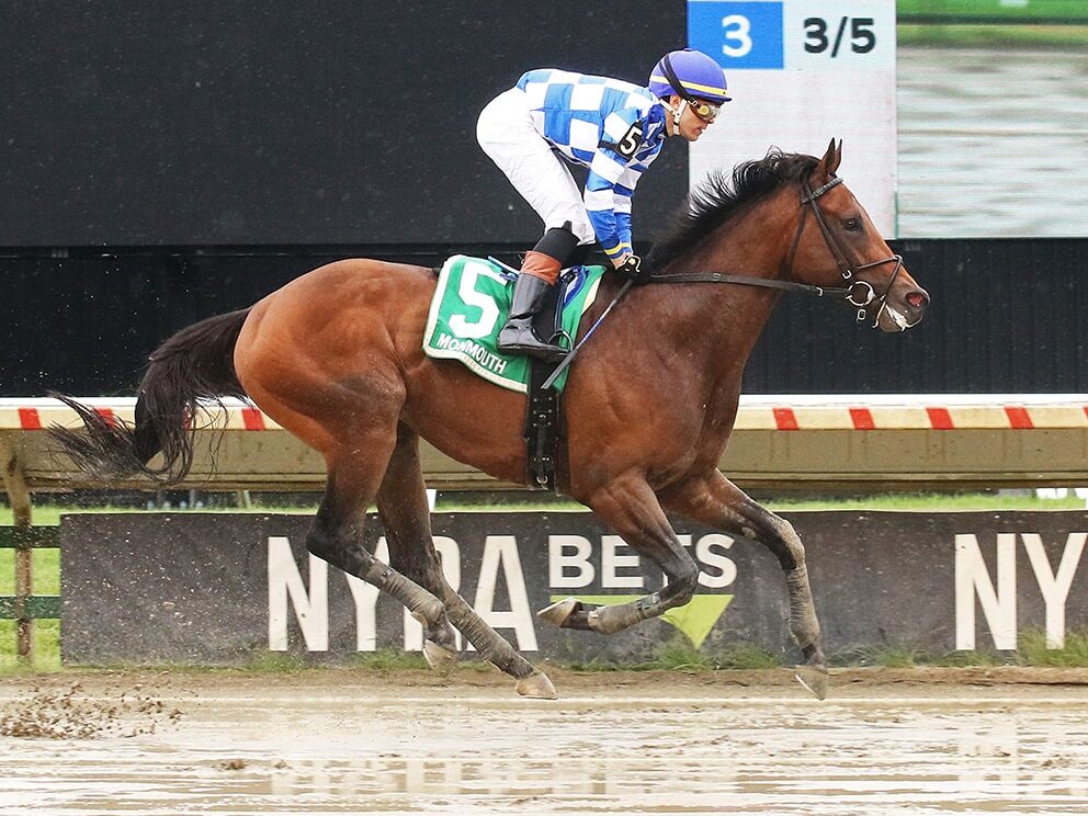 3yo colt Bracket Buster runs away with the 2025 Pegasus Stakes at Monmouth Park | Bill Denver/Equi-Photo