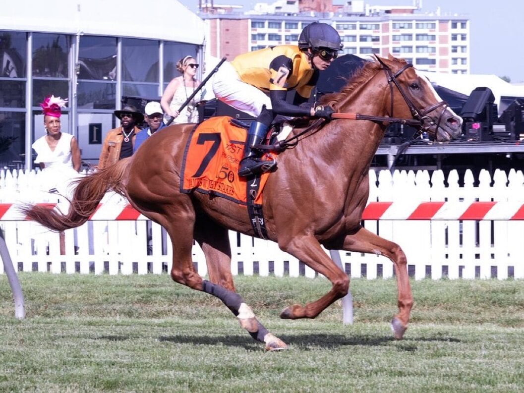 3yo colt Reagan's Wit crushes in the 2025 James Murphy Stakes on Preakness day at Pimlico, earning an 86 Beyer Speed Figure | Photo courtesy of MJC