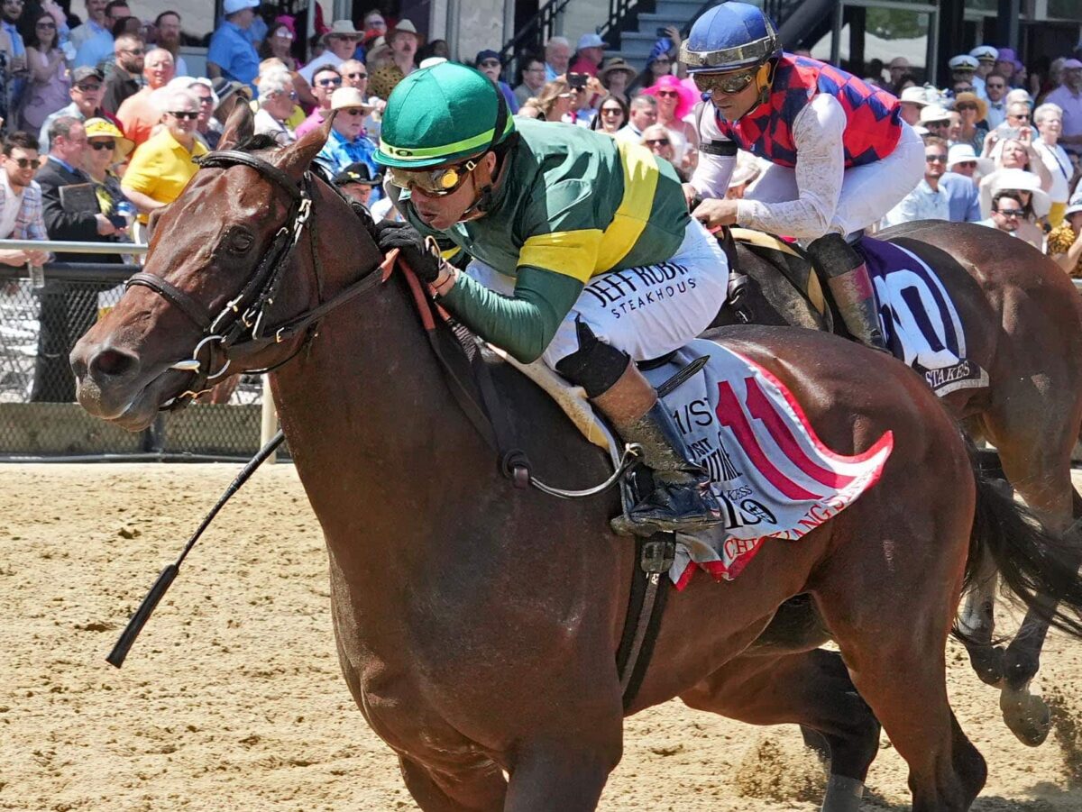 3yo colt Retribution wins the 2025 Chick Lang Stakes on Preakness day at Pimlico | Photo courtesy of MJC
