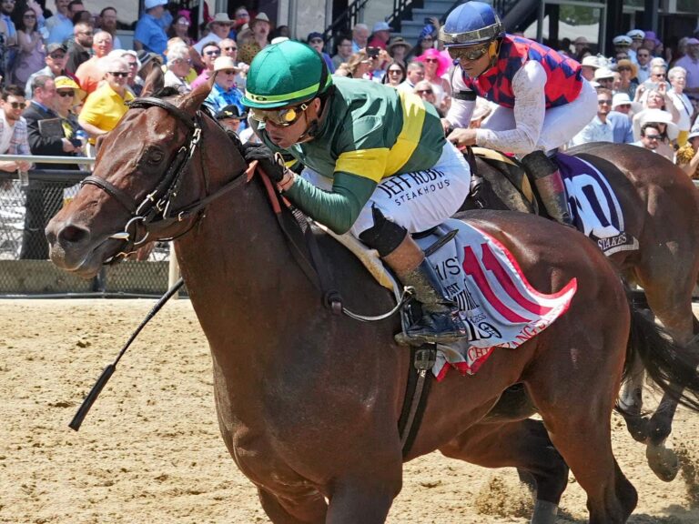3yo colt Retribution wins the 2025 Chick Lang Stakes on Preakness day at Pimlico | Photo courtesy of MJC