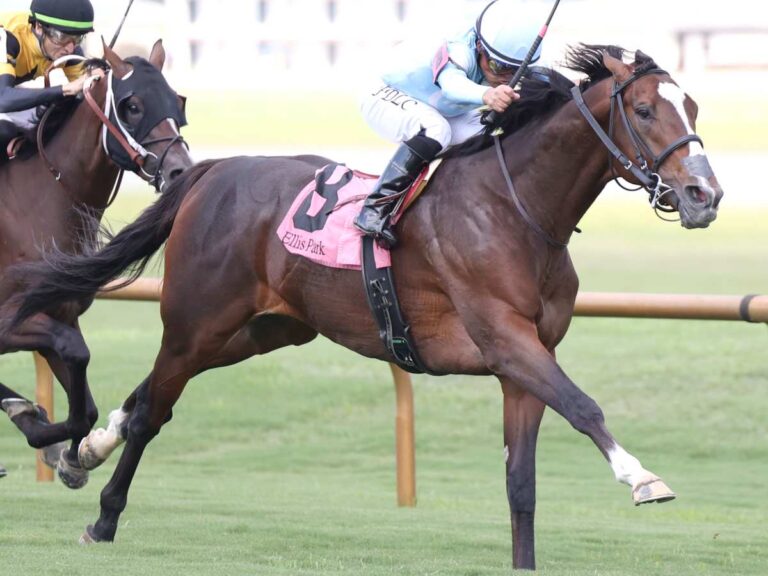 First-crop 3yo colt Tomasello wins the $250,000 KY Downs Preview Nashville Derby at Ellis Park | Coady photo