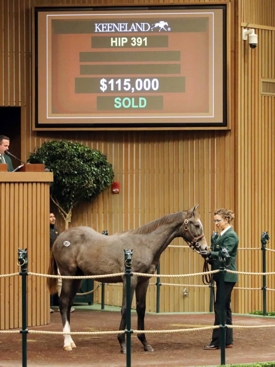 $115,000 at '22 KEENOV | Colt o/o Hua Mulan | Purchased by Scoot Stables | Z photo