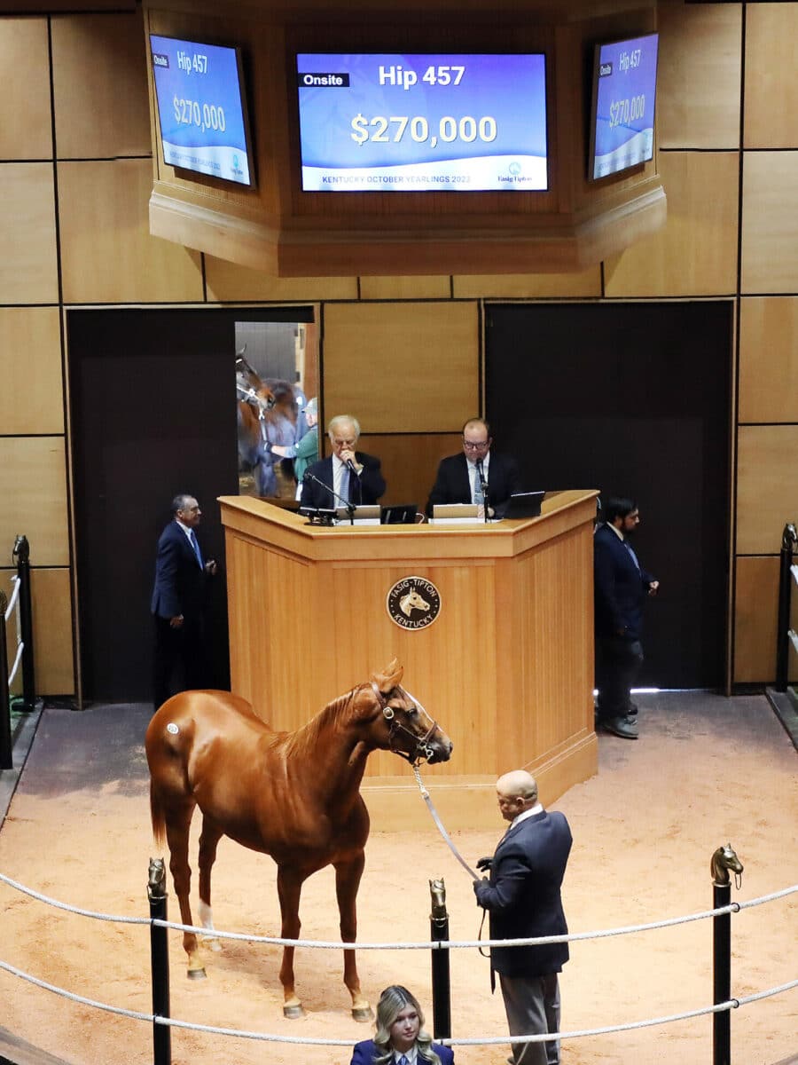 $270,000 at '23 F-T October | Filly o/o Fay Na Na | Purchased by Muir Hut Stables | Z photo