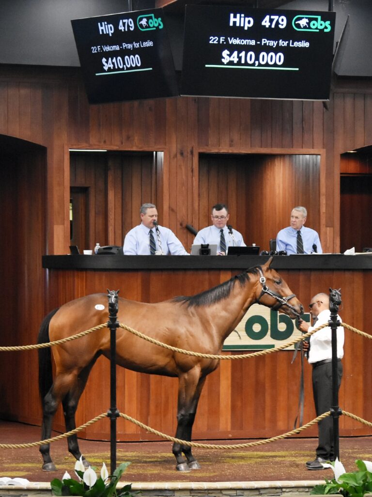 $410,000 at '24 OBSAPR | Filly o/o Pray for Leslie | Purchased by Stone Bridge Farm | Judit Seipert photo