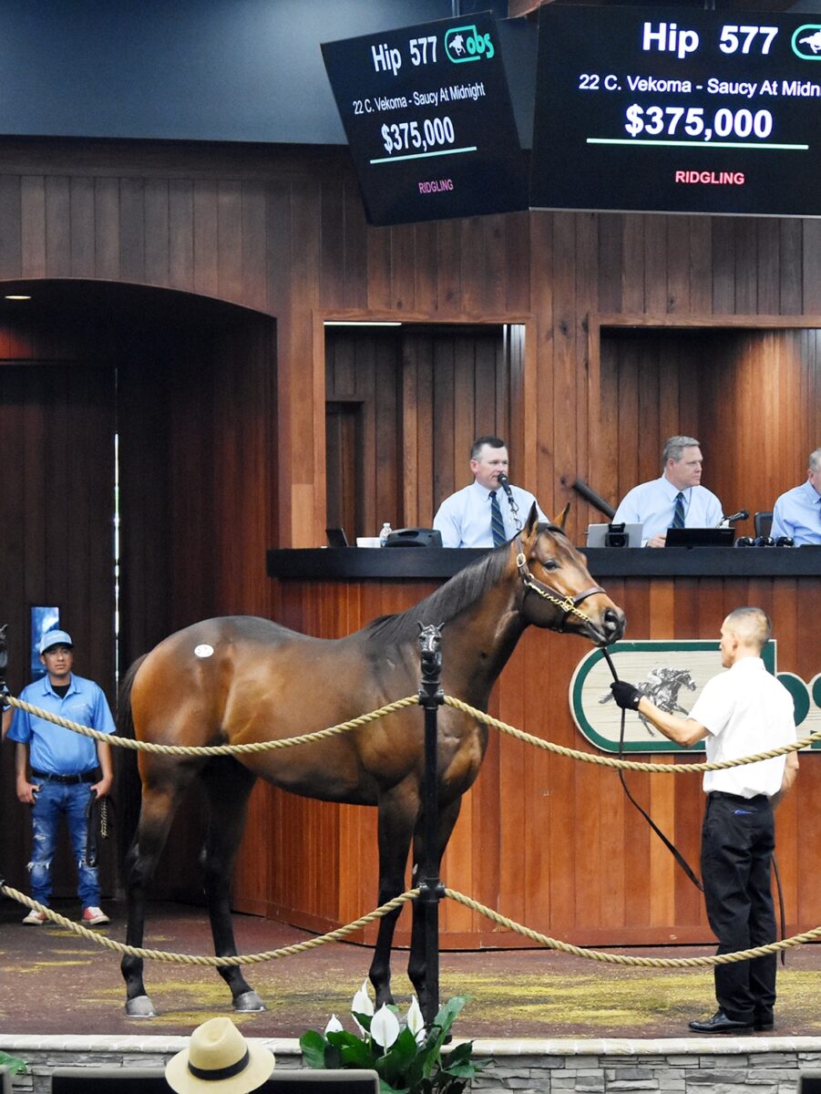 $375,000 at '24 OBSAPR | Colt o/o Saucy At Midnight | Purchased by Carolyn Wilson | Judit Seipert photo