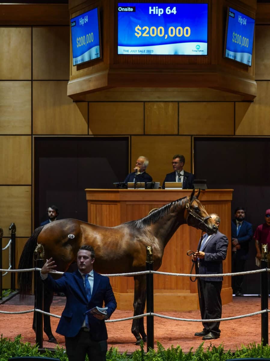 $200,000 at '23 F-T July | Colt o/o Advanced Green | Purchased by Lothenbach Stables | Nicole Finch photo