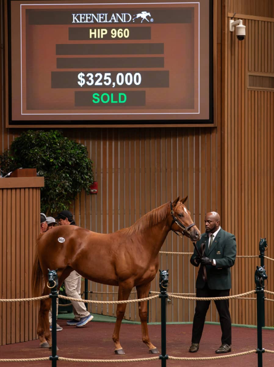 $325,000 at '23 KEESEP | Filly o/o Malibu Pier | Purchased by Yuichi Fukunaga | Nicole Finch photo