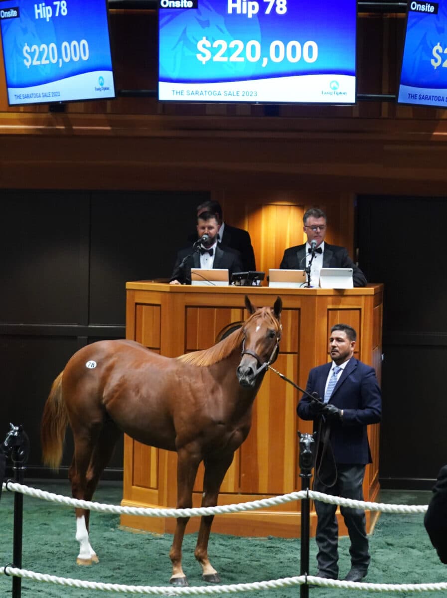 $200,000 at '23 F-T Saratoga | Colt o/o Inconclusive | Purchased by John P. Fort | Z photo