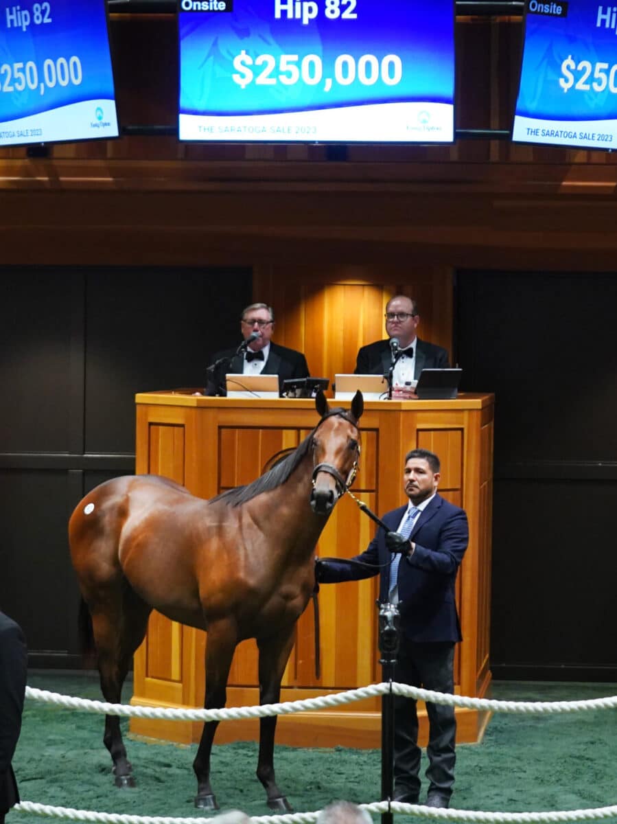 $250,000 at '23 F-T Saratoga | Filly o/o Joint Return | Purchased by Talla Racing | Z photo