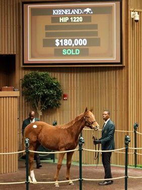 $180,000 at '23 KEEJAN | Colt o/o Inconclusive | Purchased by G1 Investments | Courtesy Keeneland