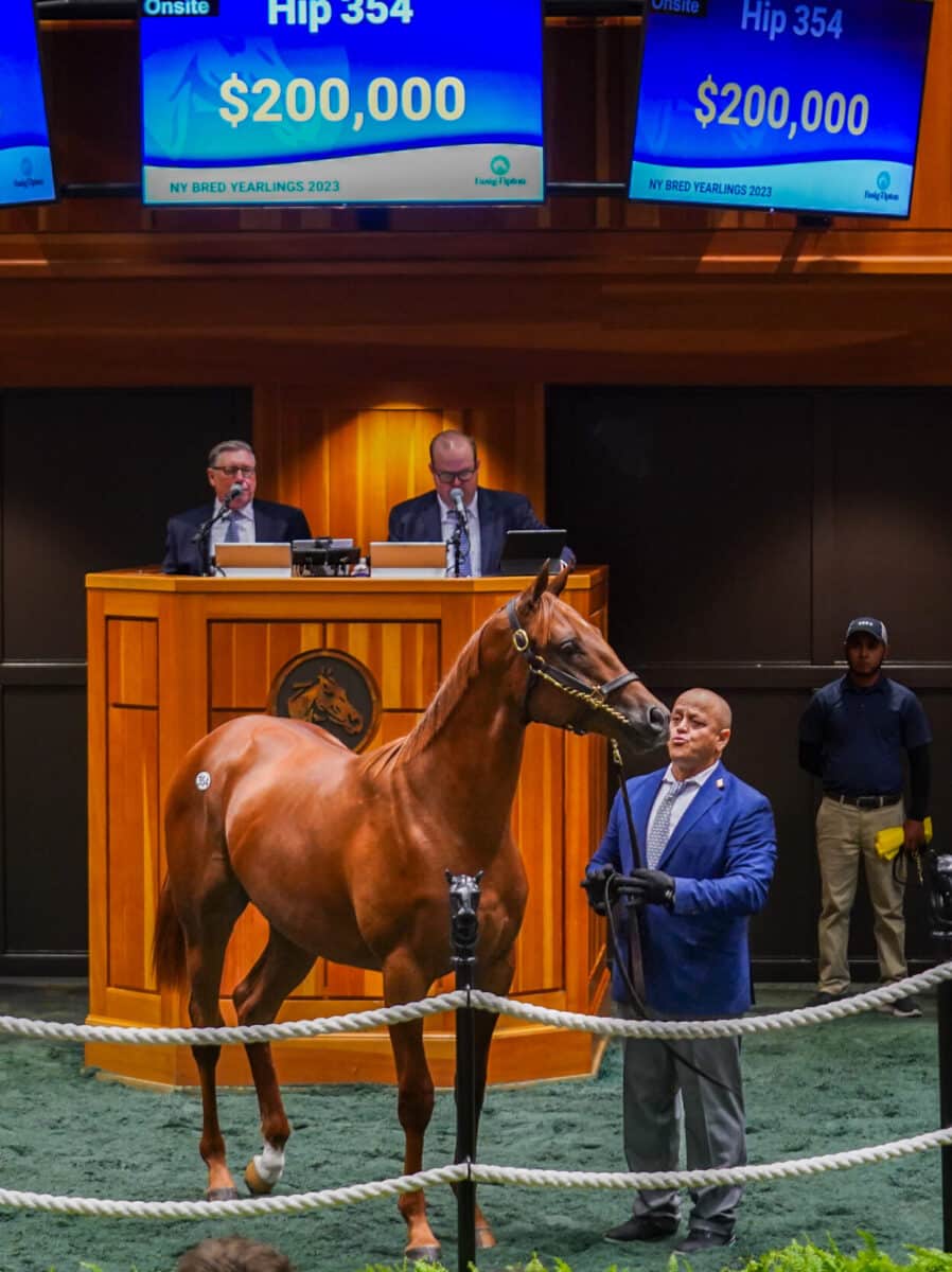 $200,000 at '23 F-T Saratoga | Colt o/o Nice Smile | Purchased by Klaravich Stables | Z photo