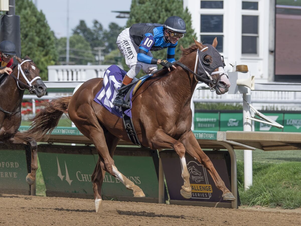 3yo colt Verifire remained undefeated after winning the 2025 Maxfield S. at Churchill Downs, running 7f in 1:20.77 and earning a 95 Beyer | Kendall Wucker photo