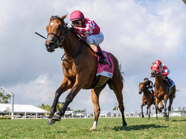 3yo filly Vixen wins the 2025 Herecomesthebride (G3) & Sweetest Chant S. at Gulfstream | Coglianese photo