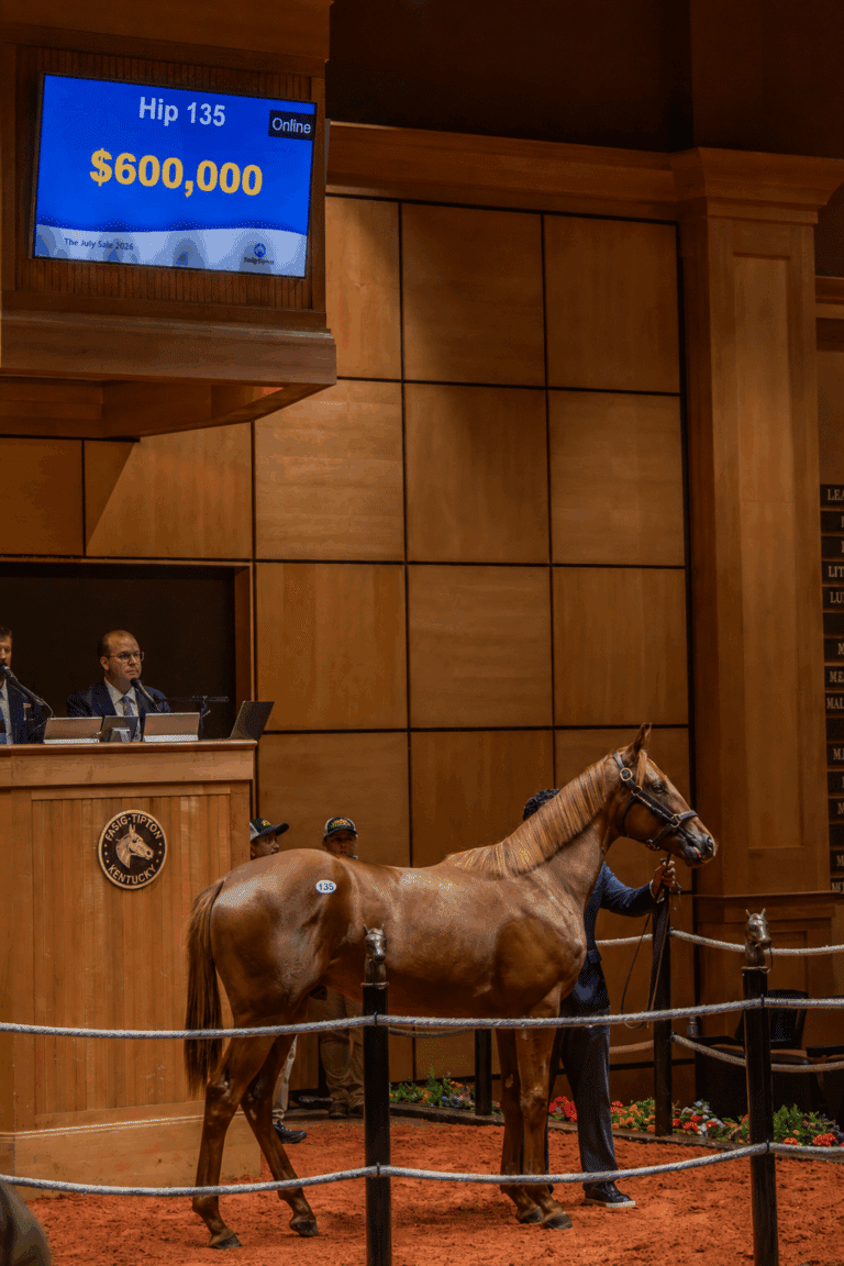 Hip 135, a colt by Vekoma tops the F-T July Sale for $600,000 | Kendall Wucker