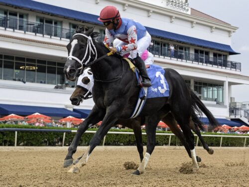3yo filly Andrea wins the 2025 Azalea S. at Gulfstream Park | Coglianese photo