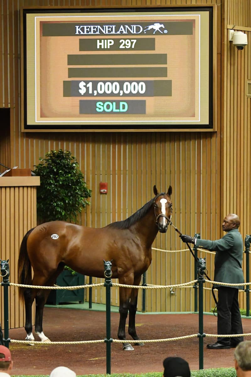 Thousand Words | Hip 297, 2018 Keeneland September Yearling Sale | Z photo