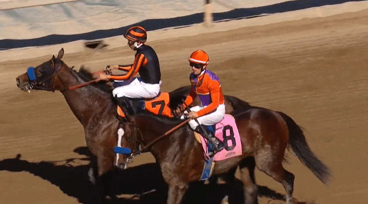 Thousand Words | 2019 Debut MdSpWt Win At Santa Anita