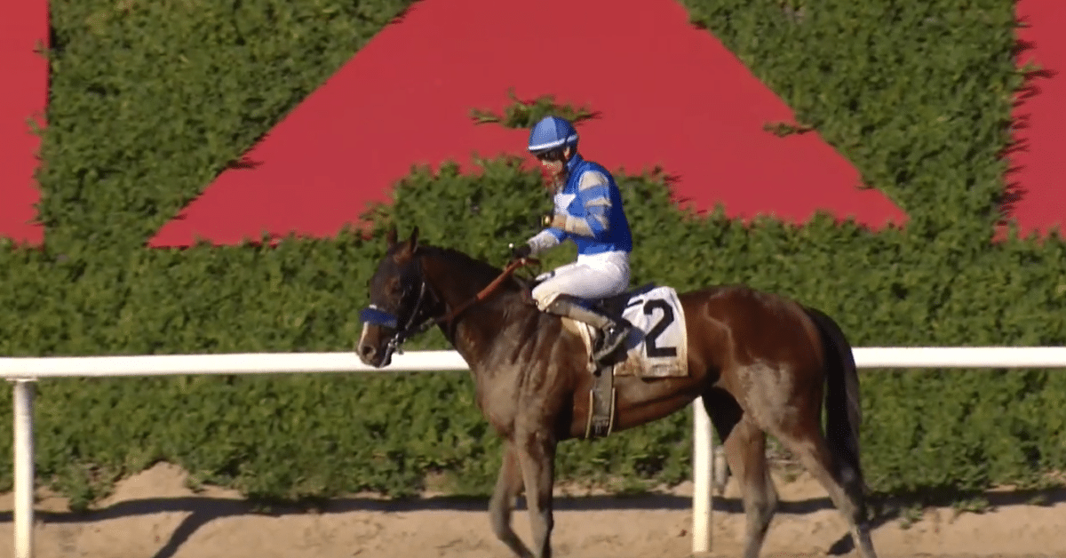 Thousand Words | 2020 Robert B. Lewis S.-G3 at Santa Anita