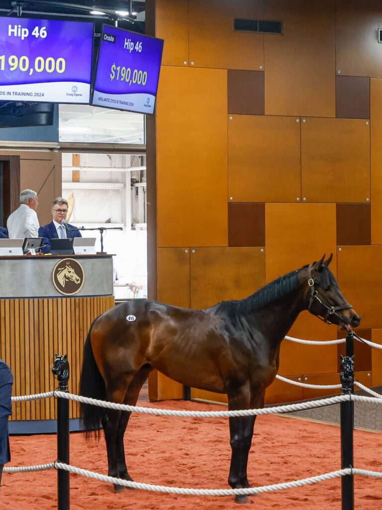 $190,000 at '24 F-T Midlantic | Colt o/o Georgia | Purchased by Christina Jelm, agent for Mike Puhich | Z photo