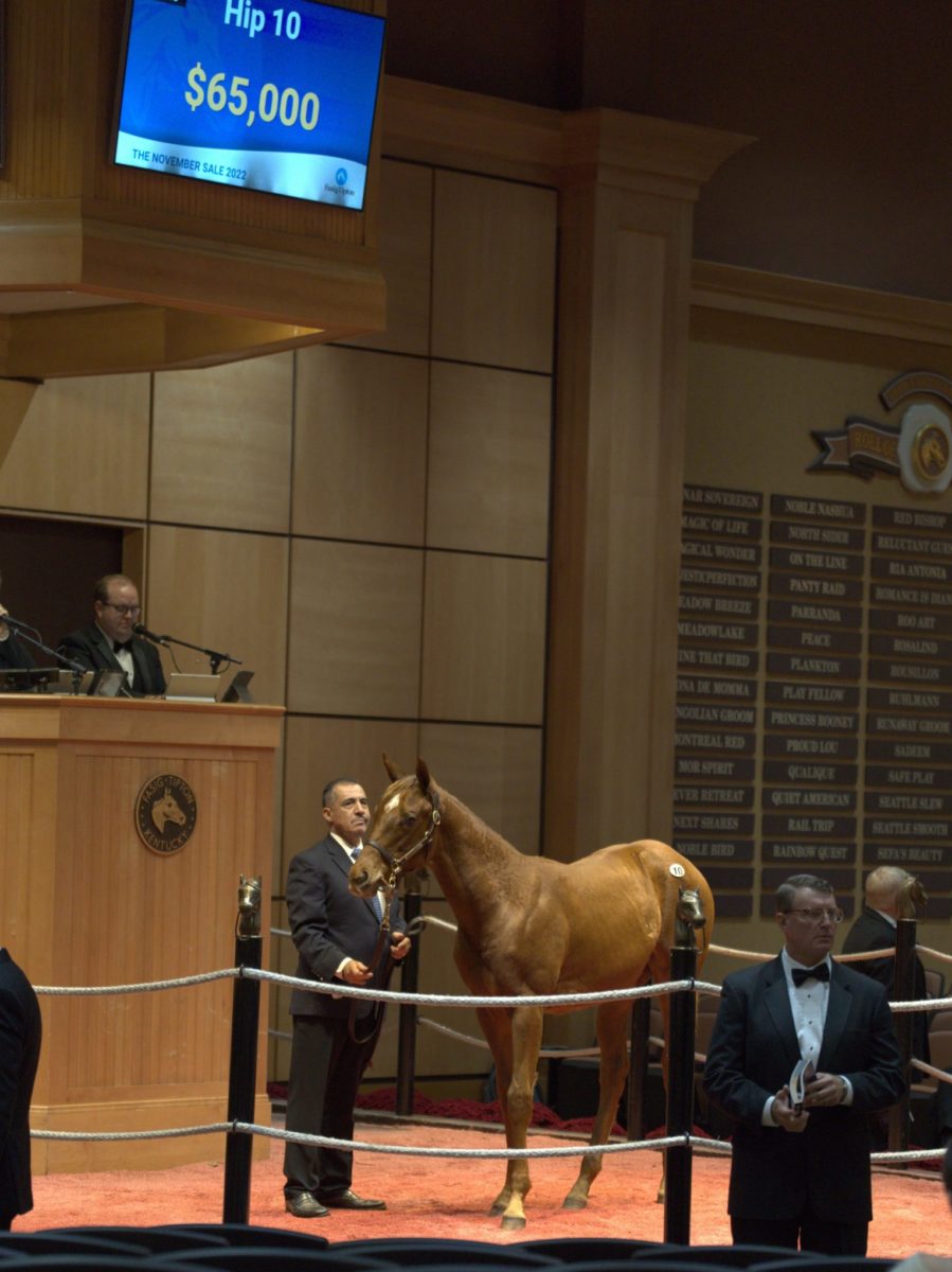 $65,000 at '22 F-T Nov | Filly o/o Izshelegal | Purchased by Stella Stables | Nicole Finch photo