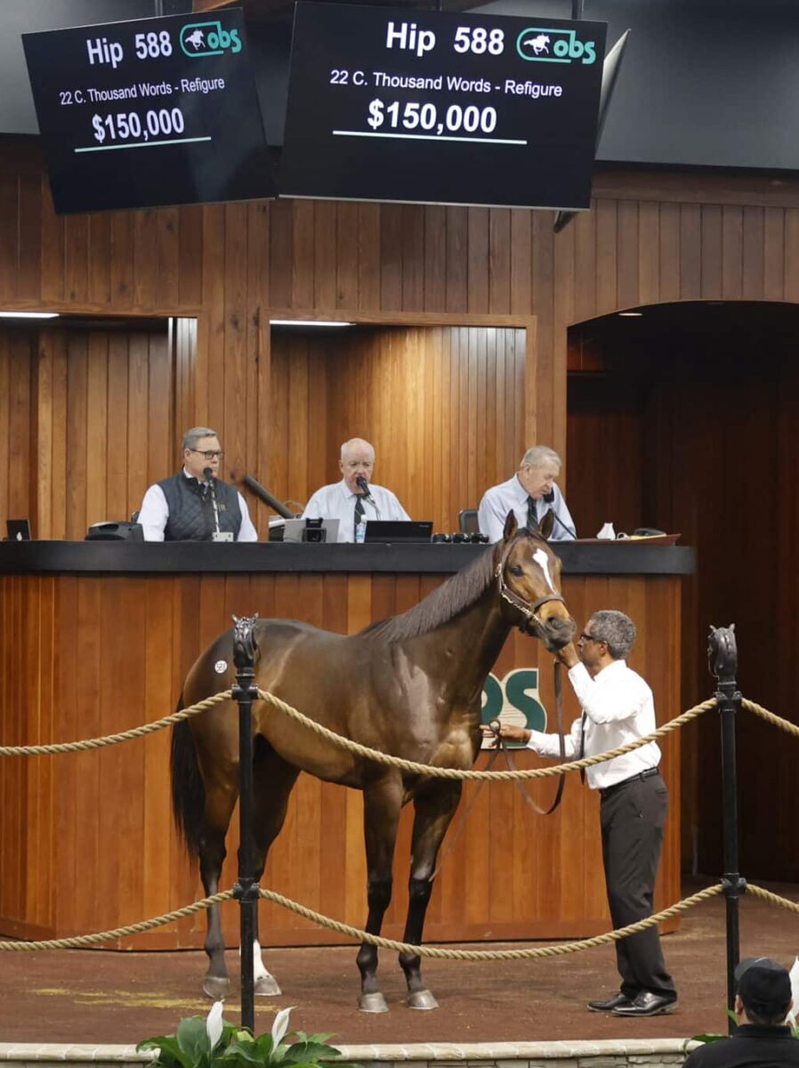 $150,000 at '24 OBSMAR | Colt o/o Refigure | Purchased by Hideyuki Mori | Z photo