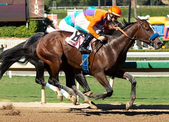 Thousand Words | Debut MdSpWt win at Santa Anita 2019 | Benoit photo