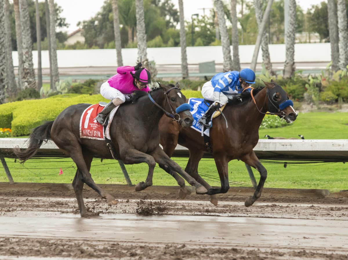 Thousand Words | 2019 Los Alamitos Futurity-G2 | Benoit photo