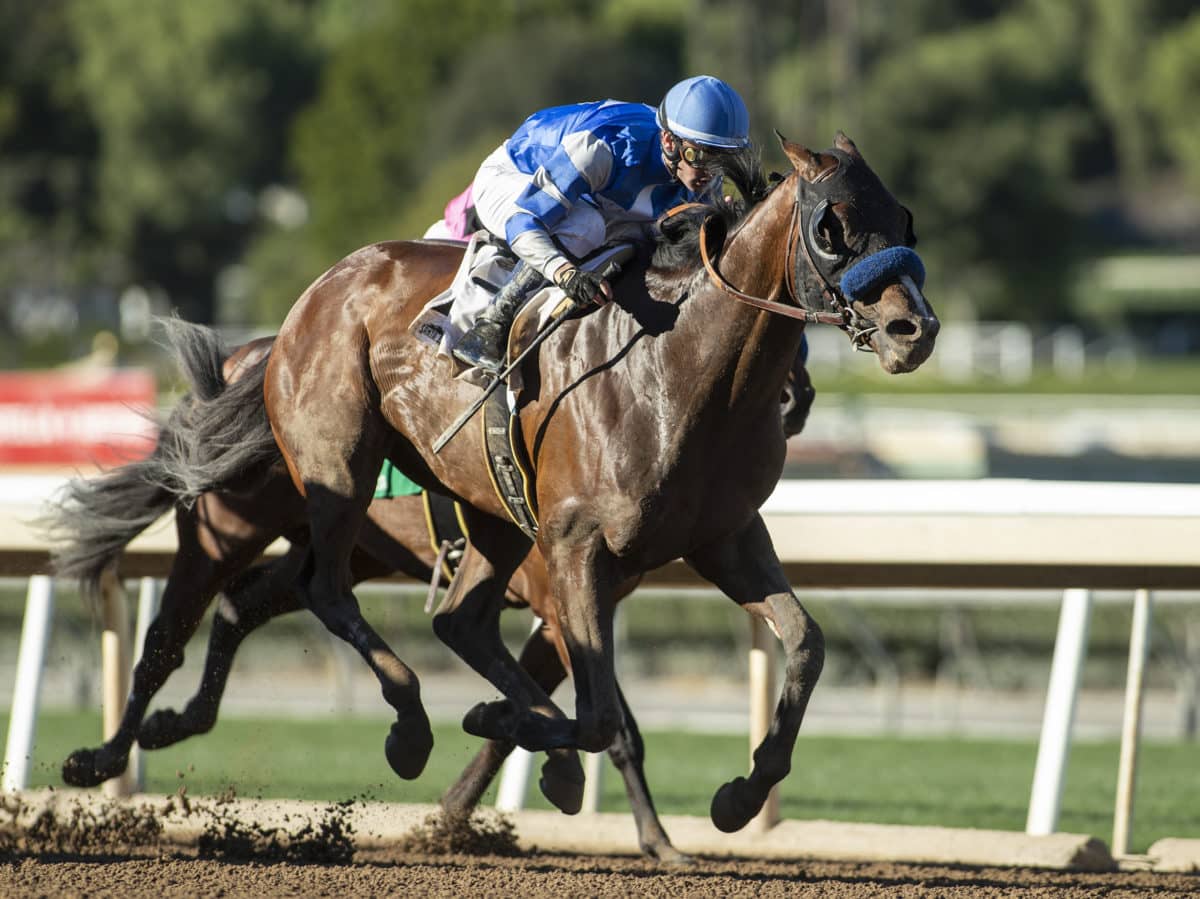 Thousand Words | 2020 Robert B. Lewis-G3 at Santa Anita | Benoit photo