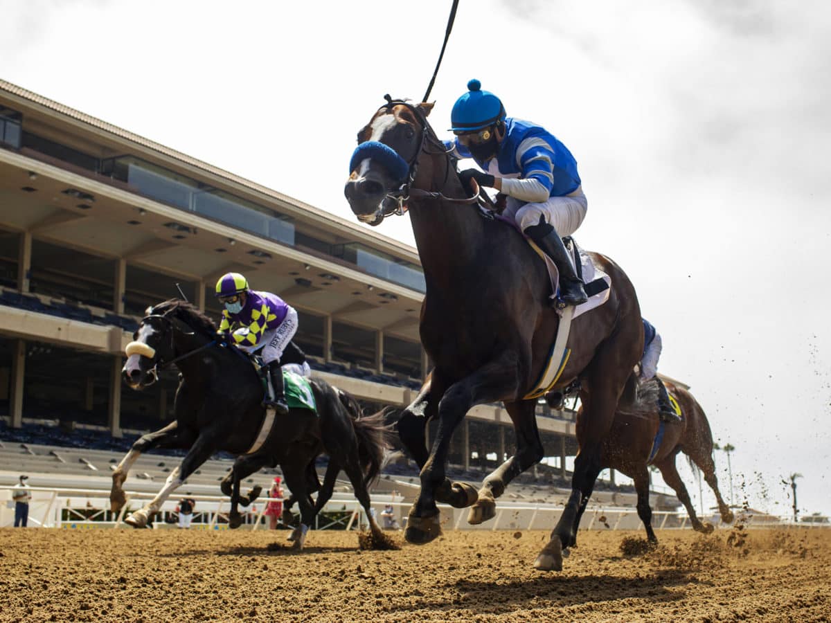 Summer Front - Horse Profile - BloodHorse