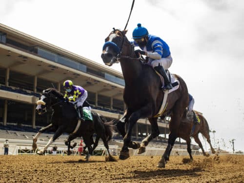 Thousand Words defeats Honor A. P. in their final KY Derby prep at Del Mar | Benoit photo