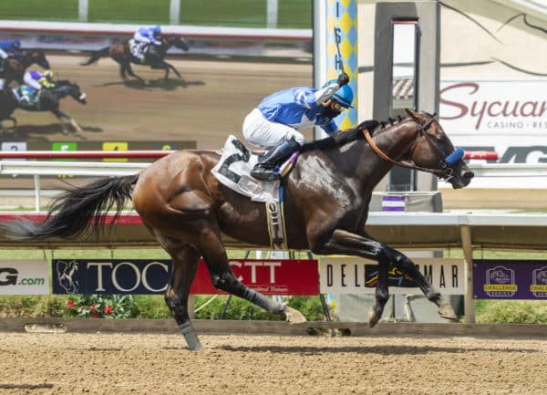 Thousand Words | 2020 Shared Belief S. | Benoit photo