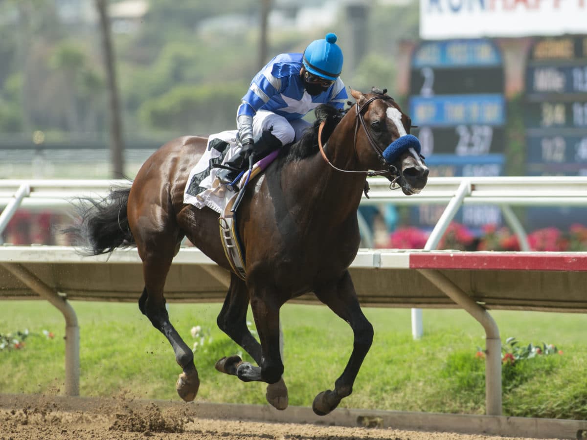 Thousand Words captured stakes at 3 different tracks | Benoit photo