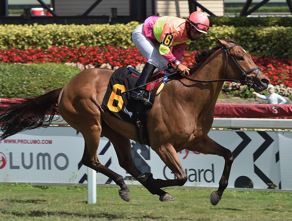 Phantom Currency | 2021 Mac Diarmida-G2 | Coglianese photo