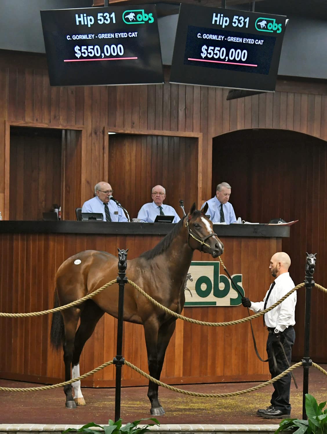 Gormley wraps OBS 2yo Sale with 550,000 colt Spendthrift A Kentucky Thoroughbred Stallion Farm