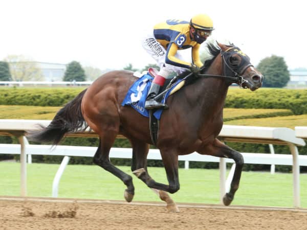 Headline Report impresses on debut at Keeneland | Coady photo