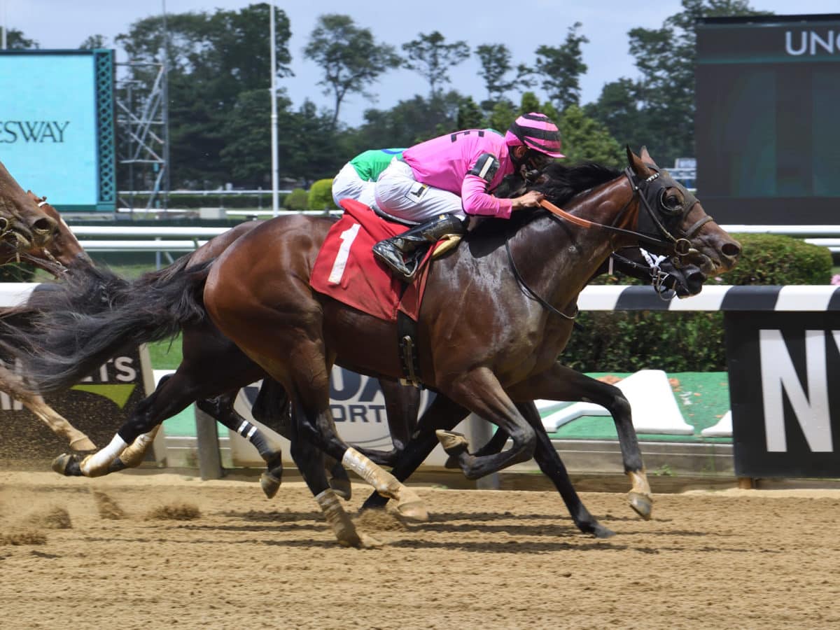 Gormley colt professional on debut in Belmont MdSpWt Spendthrift A Kentucky Thoroughbred