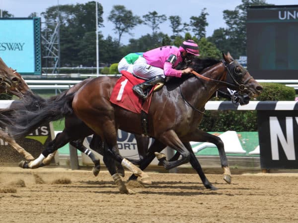 High Oak becomes the 4th winner by Gormley, who now has winners at Keeneland, Churchill & Belmont | NYRA photo