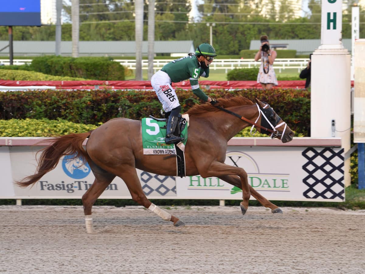 G1 Florida Derby 2021 | Coglianese Photo