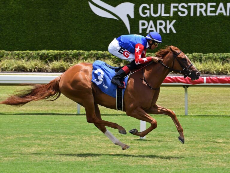 1st Winner: 2yo filly Pure Eloquence romps by 5 on debut in a MdSpWt race at Gulfstream | Coglianese photo