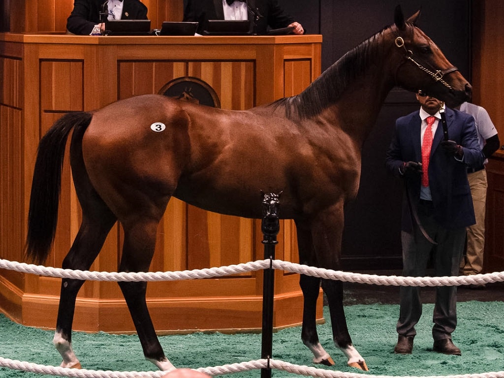 Saratoga Select Yearling sale starts strong for Bolt d’Oro