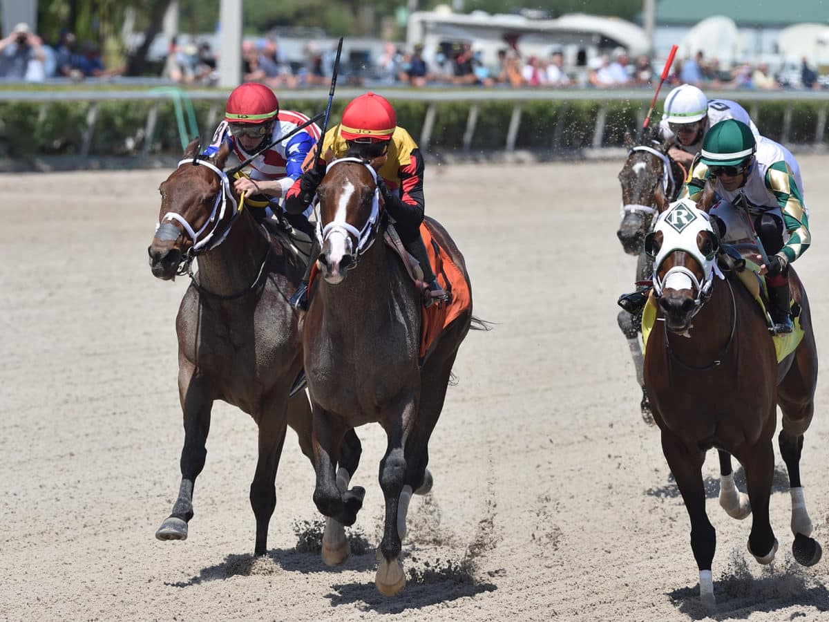 Basin | Sir Shackleton 2021 | Coglianese Photo