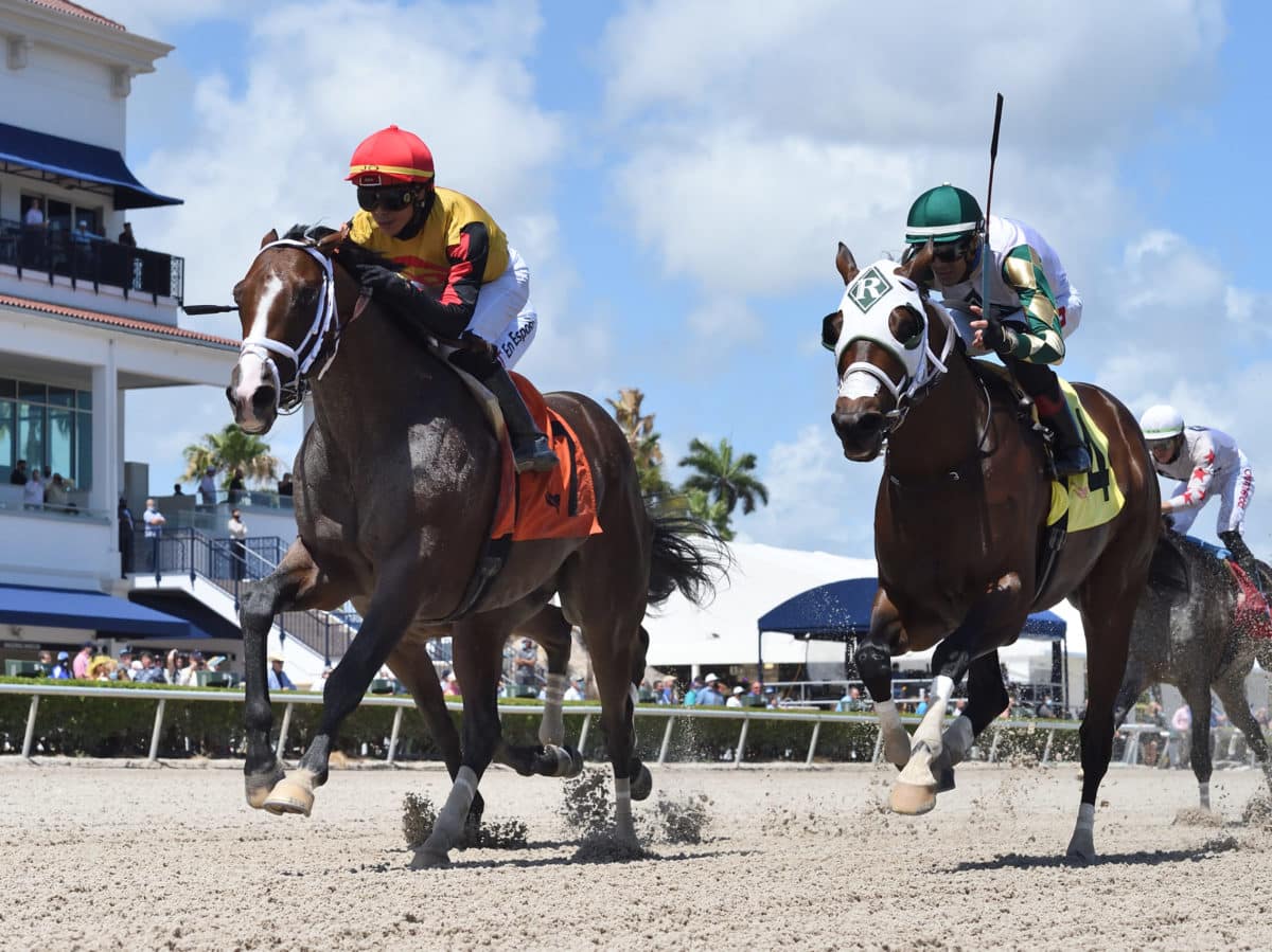 Basin | Sir Shackleton 2021 | Coglianese Photo