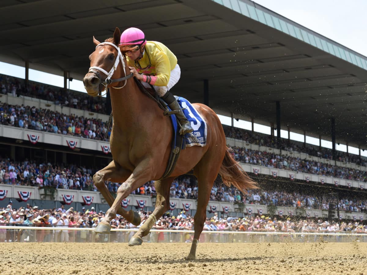 Monomoy Girl retires a 7-time G1 winner, 2-time champion and top 5 dirt female earner of all time | NYRA photo